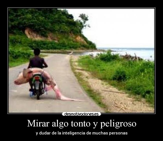 Mirar algo tonto y peligroso -