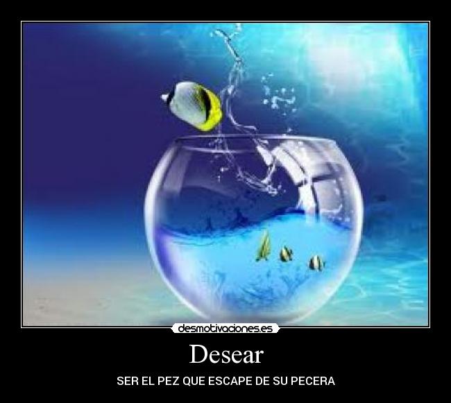 Desear - 