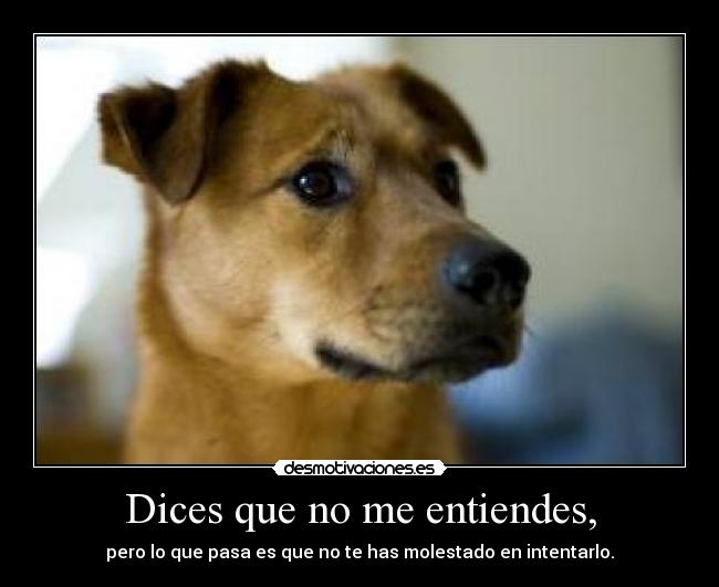 Dices que no me entiendes, - 