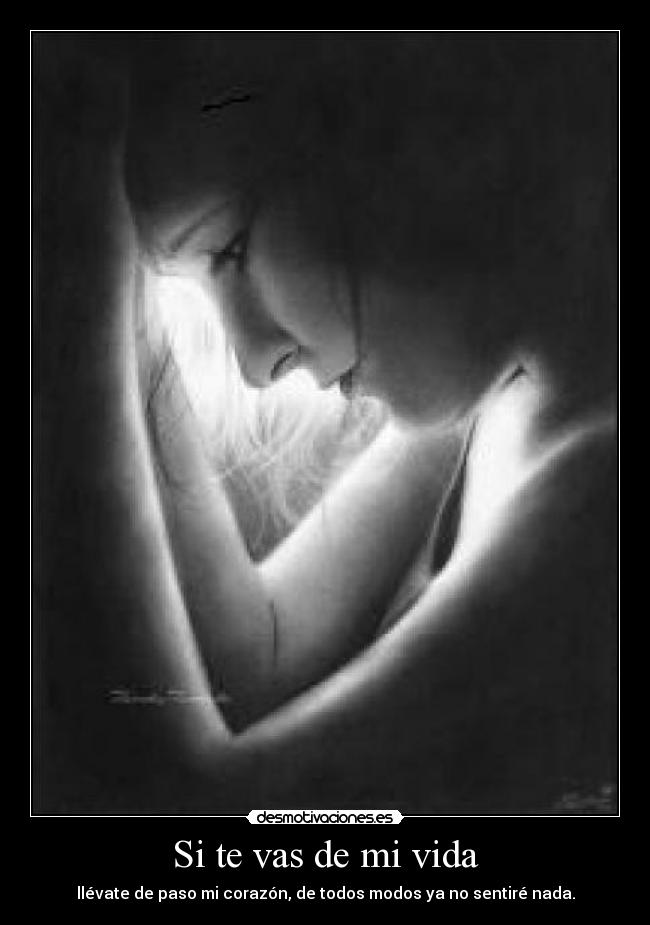 Si te vas de mi vida - llévate de paso mi corazón, de todos modos ya no sentiré nada.