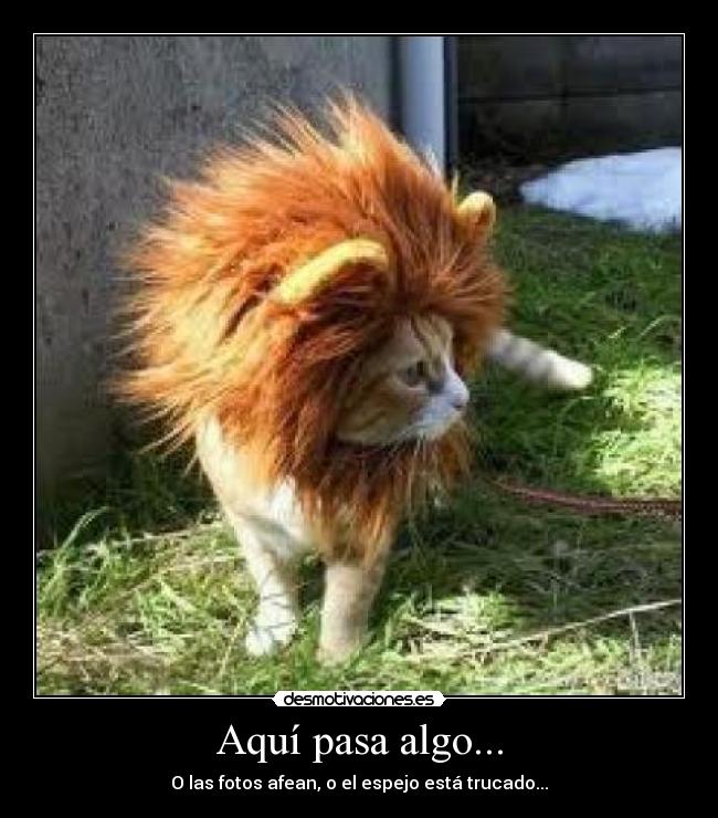 carteles espejo desmotivaciones