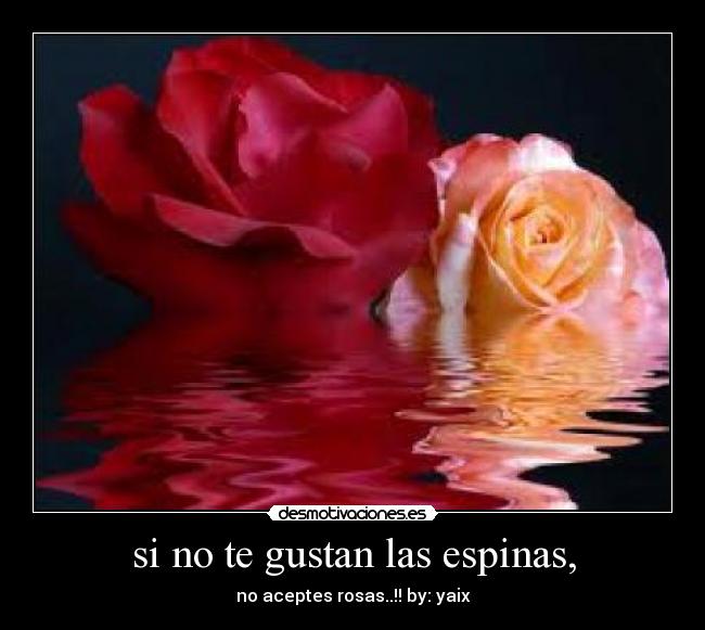 si no te gustan las espinas, - 