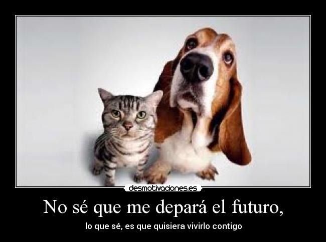 No sé que me depará el futuro, -