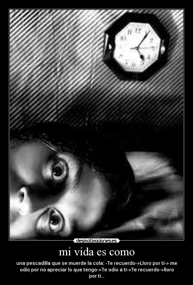 carteles vida sentimientos que siento desmotivaciones