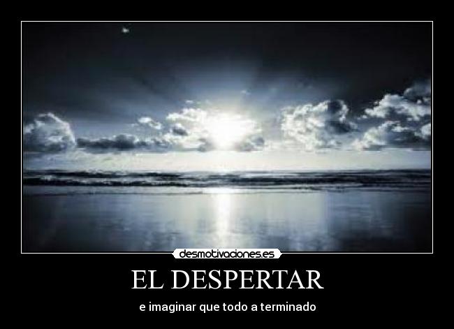 carteles amor desmotivaciones