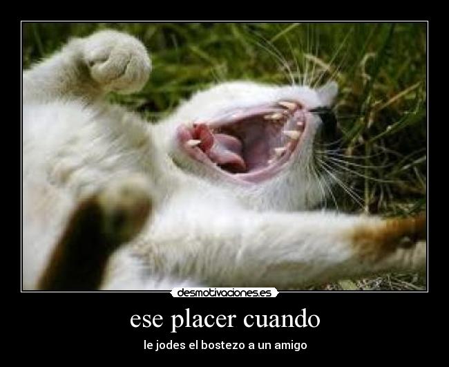 ese placer cuando - le jodes el bostezo a un amigo