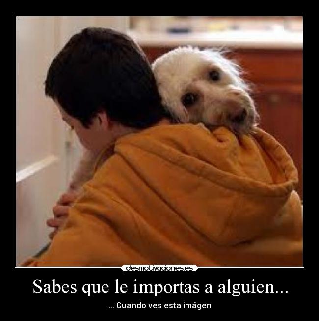Sabes que le importas a alguien... - 