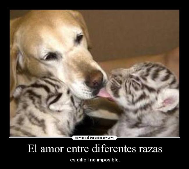 El amor entre diferentes razas - 