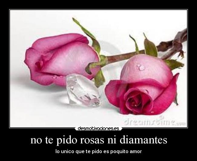 no te pido rosas ni diamantes -