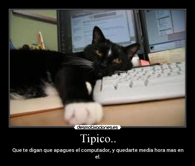 Tipico.. - 