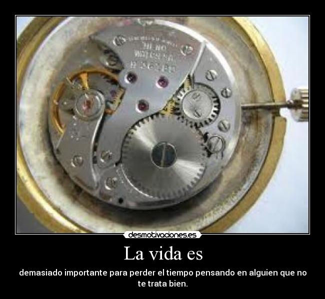 La vida es - demasiado importante para perder el tiempo pensando en alguien que no te trata bien.