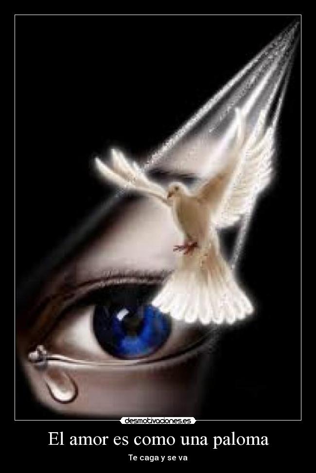 carteles amor desmotivaciones