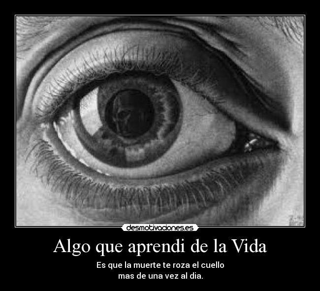 Algo que aprendi de la Vida -