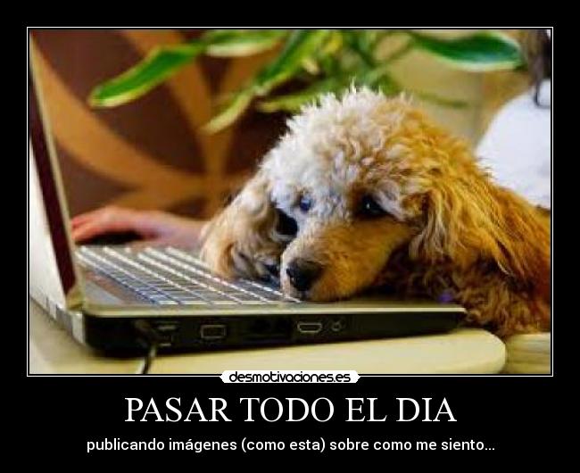 PASAR TODO EL DIA - publicando imágenes (como esta) sobre como me siento...