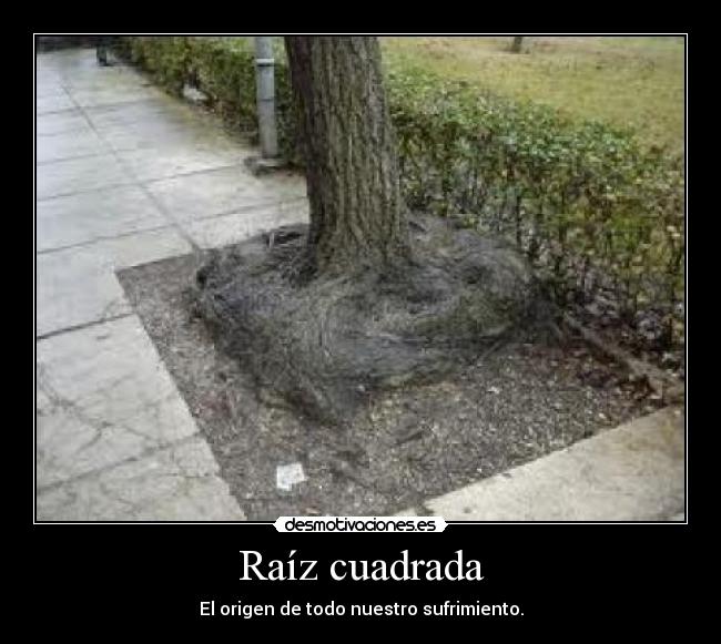 Raíz cuadrada - El origen de todo nuestro sufrimiento.