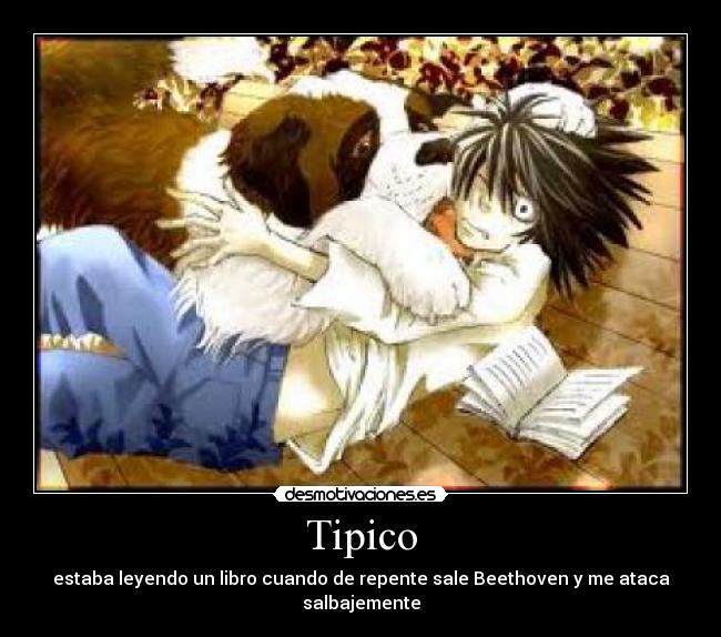 Tipico - estaba leyendo un libro cuando de repente sale Beethoven y me ataca salbajemente