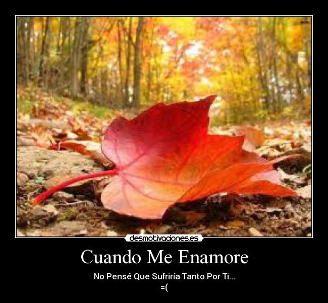Cuando Me Enamore -