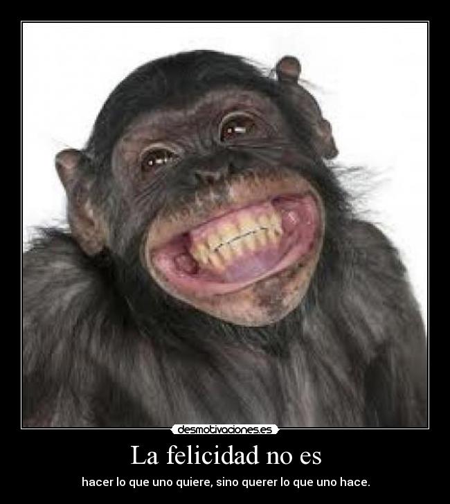 La felicidad no es - hacer lo que uno quiere, sino querer lo que uno hace.