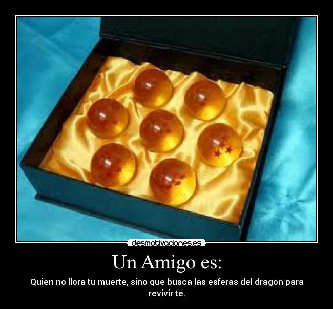 Un Amigo es: - Quien no llora tu muerte, sino que busca las esferas del dragon para revivir te.