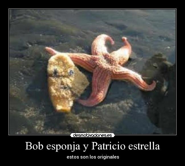 Bob esponja y Patricio estrella - estos son los originales