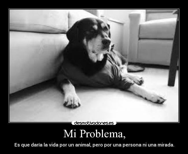 Mi Problema, - Es que daría la vida por un animal, pero por una persona ni una mirada.