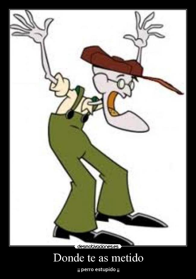 Donde te as metido -