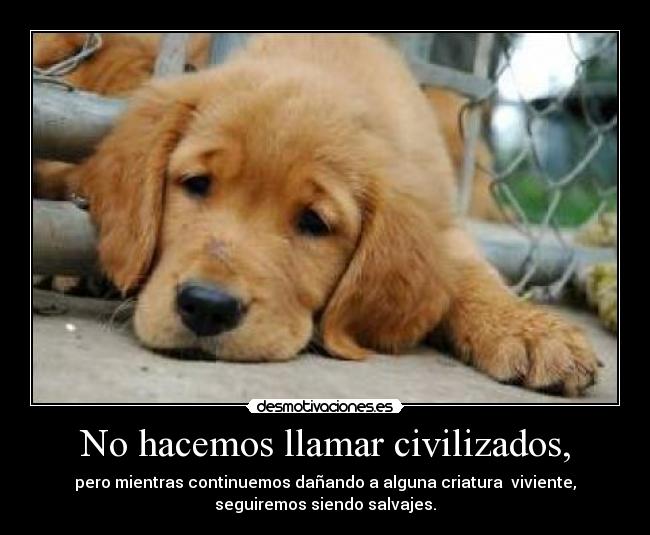 No hacemos llamar civilizados, - pero mientras continuemos dañando a alguna criatura  viviente,
seguiremos siendo salvajes.
