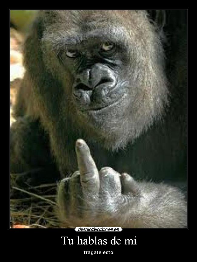 Tu hablas de mi - tragate esto