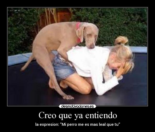 Creo que ya entiendo - la expresion: Mi perro me es mas leal que tu