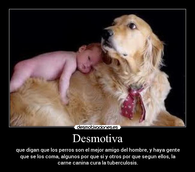 Desmotiva - que digan que los perros son el mejor amigo del hombre, y haya gente
que se los coma, algunos por que si y otros por que segun ellos, la
carne canina cura la tuberculosis.