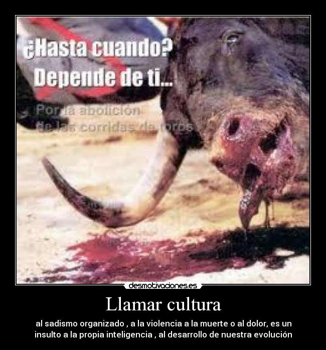 Llamar cultura - al sadismo organizado , a la violencia a la muerte o al dolor, es un
insulto a la propia inteligencia , al desarrollo de nuestra evolución