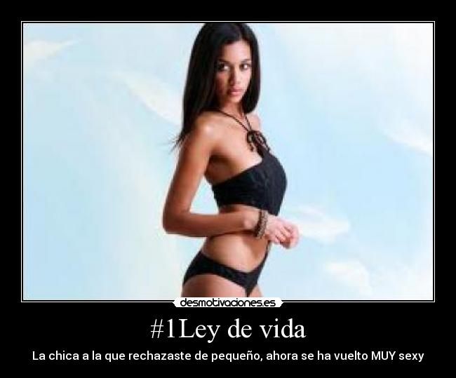 carteles vida sexy ley vida chica rechazaste pequeno desmotivaciones