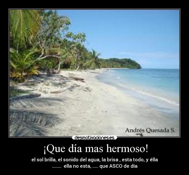 ¡Que día mas hermoso! - el sol brilla, el sonido del agua, la brisa , esta todo, y élla
........ ella no esta, ..... que ASCO de día