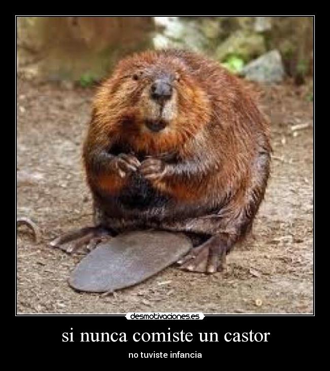 carteles roberto perez rodriguez desmotivaciones