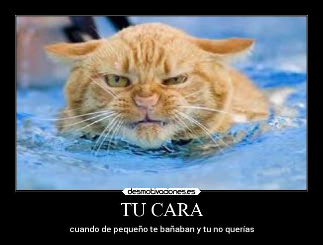 TU CARA - cuando de pequeño te bañaban y tu no querías