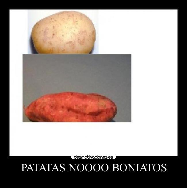 PATATAS NOOOO BONIATOS - 
