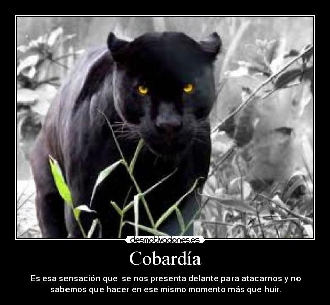 Cobardía - Es esa sensación que se nos presenta delante para atacarnos y no
sabemos que hacer en ese mismo momento más que huir.