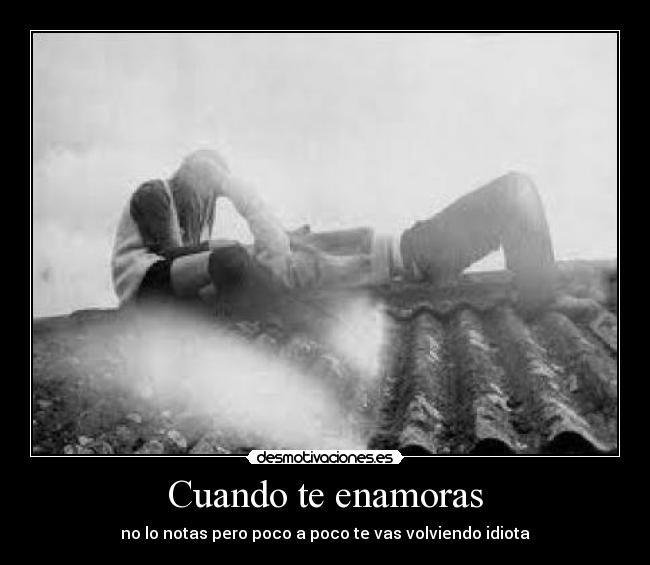 Cuando te enamoras - no lo notas pero poco a poco te vas volviendo idiota