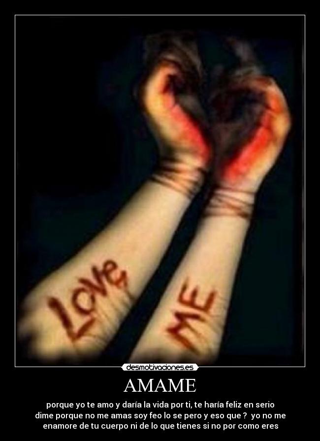 carteles amame desmotivaciones