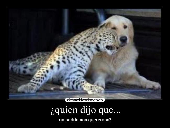 carteles ooooooo desmotivaciones