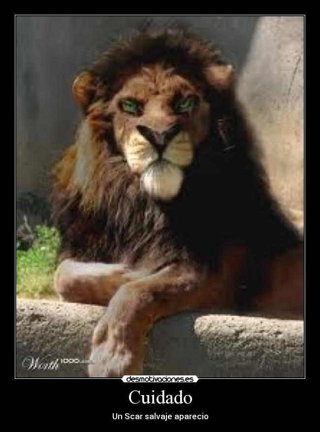 Cuidado - Un Scar salvaje aparecio