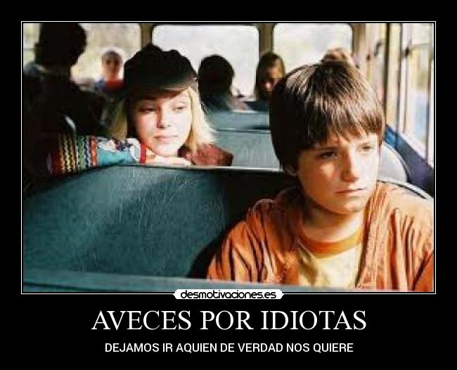 AVECES POR IDIOTAS -