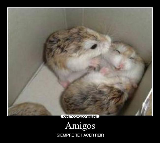 Amigos - 