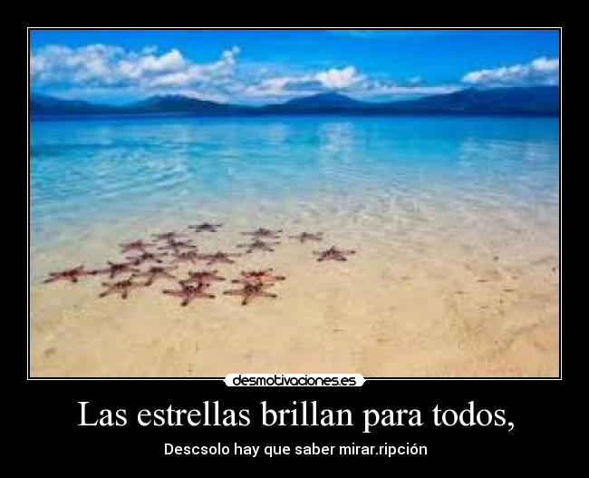 Las estrellas brillan para todos, - Descsolo hay que saber mirar.ripción