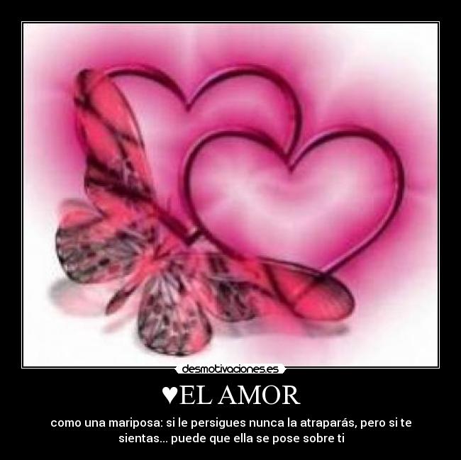 ♥EL AMOR - como una mariposa: si le persigues nunca la atraparás, pero si te
sientas... puede que ella se pose sobre ti