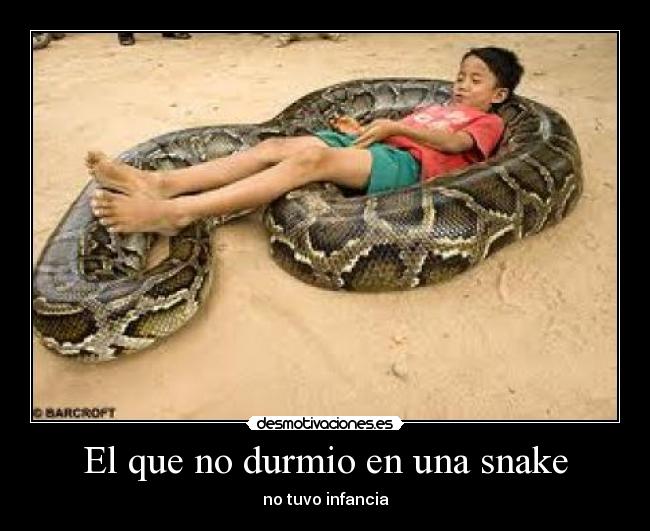 El que no durmio en una snake -
