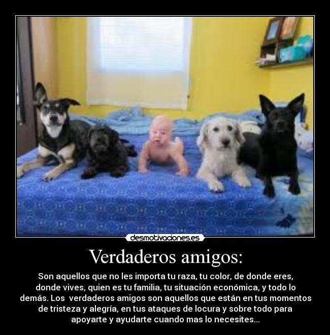 Verdaderos amigos: - Son aquellos que no les importa tu raza, tu color, de donde eres,
donde vives, quien es tu familia, tu situación económica, y todo lo
demás. Los verdaderos amigos son aquellos que están en tus momentos
de tristeza y alegría, en tus ataques de locura y sobre todo para
apoyarte y ayudarte cuando mas lo necesites...