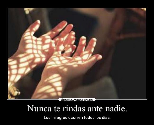 Nunca te rindas ante nadie. -
