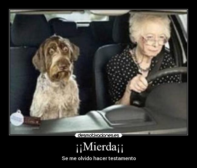 ¡¡Mierda¡¡ - Se me olvido hacer testamento