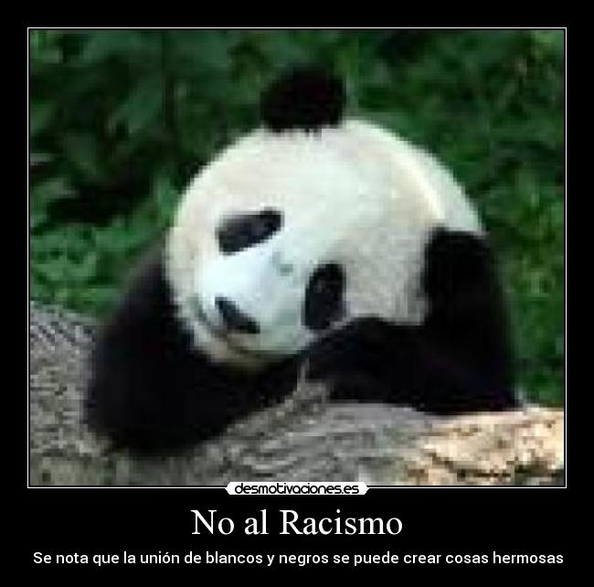 No al Racismo - 